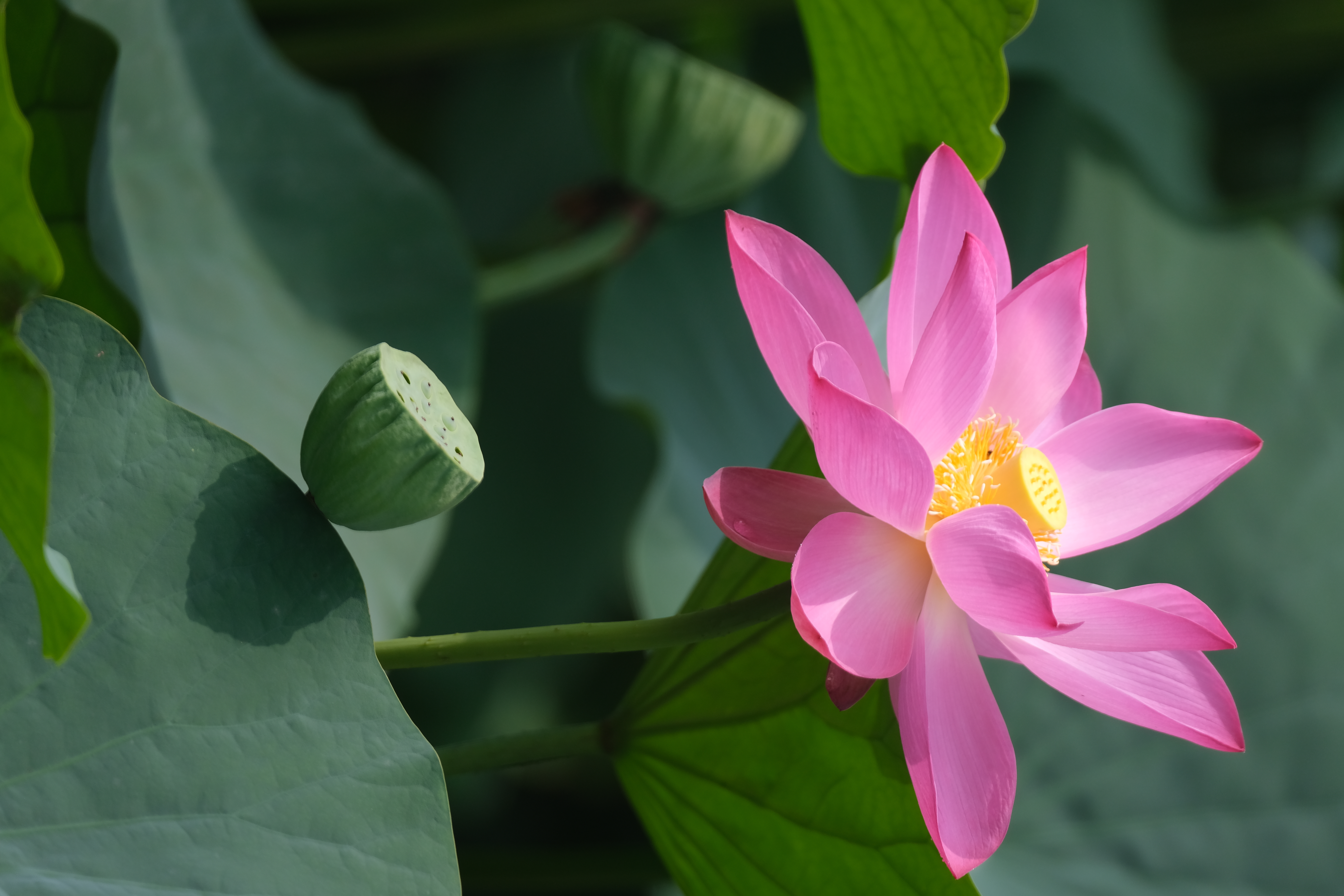 晋中公司刘旺旺-1.jpg