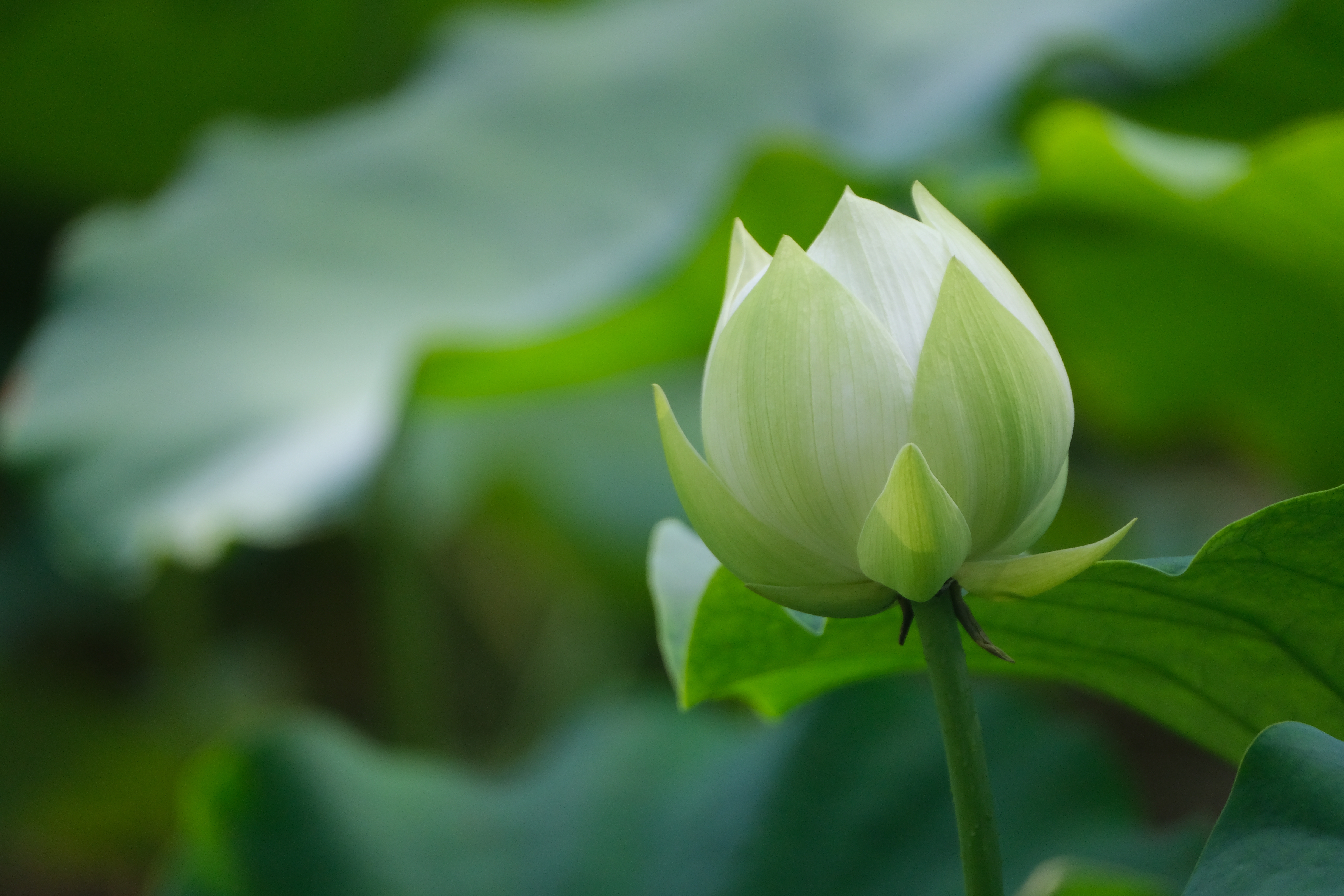 晋中公司刘旺旺-3.jpg